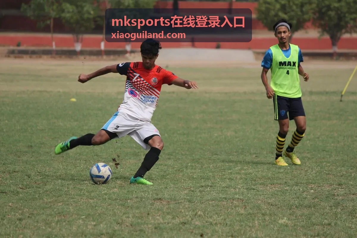 mksports在线登录入口进入后的会员服务界面示意