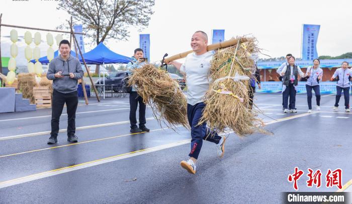 全国性群众体育赛事为何因全民参与而精彩：从